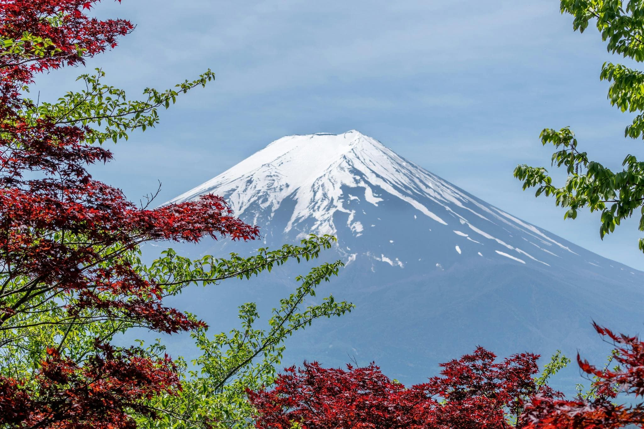 Mt. Fuji hiking trail